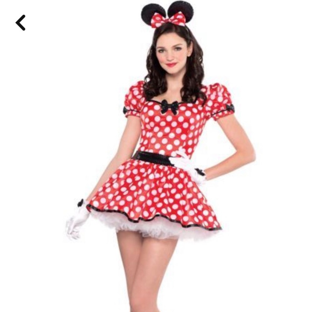 Adult Sassy Mini Mouse Costume Size Small